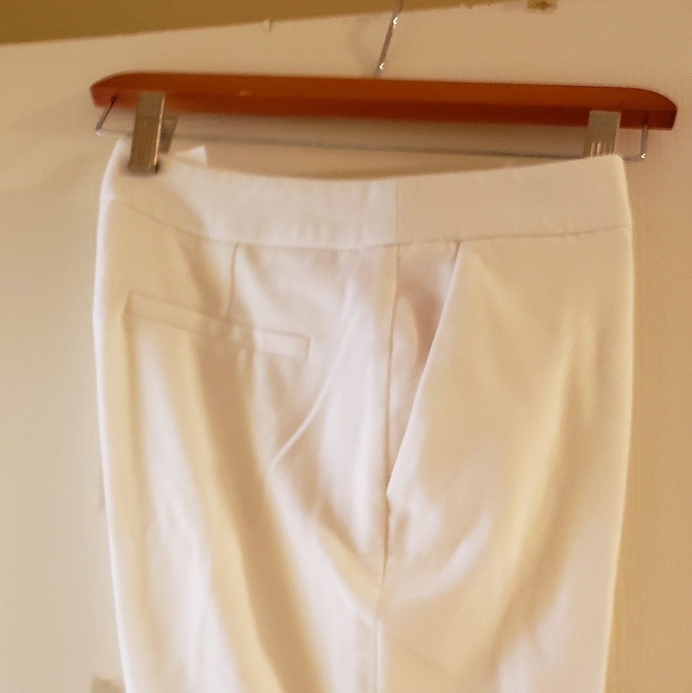 Dress  lined pant